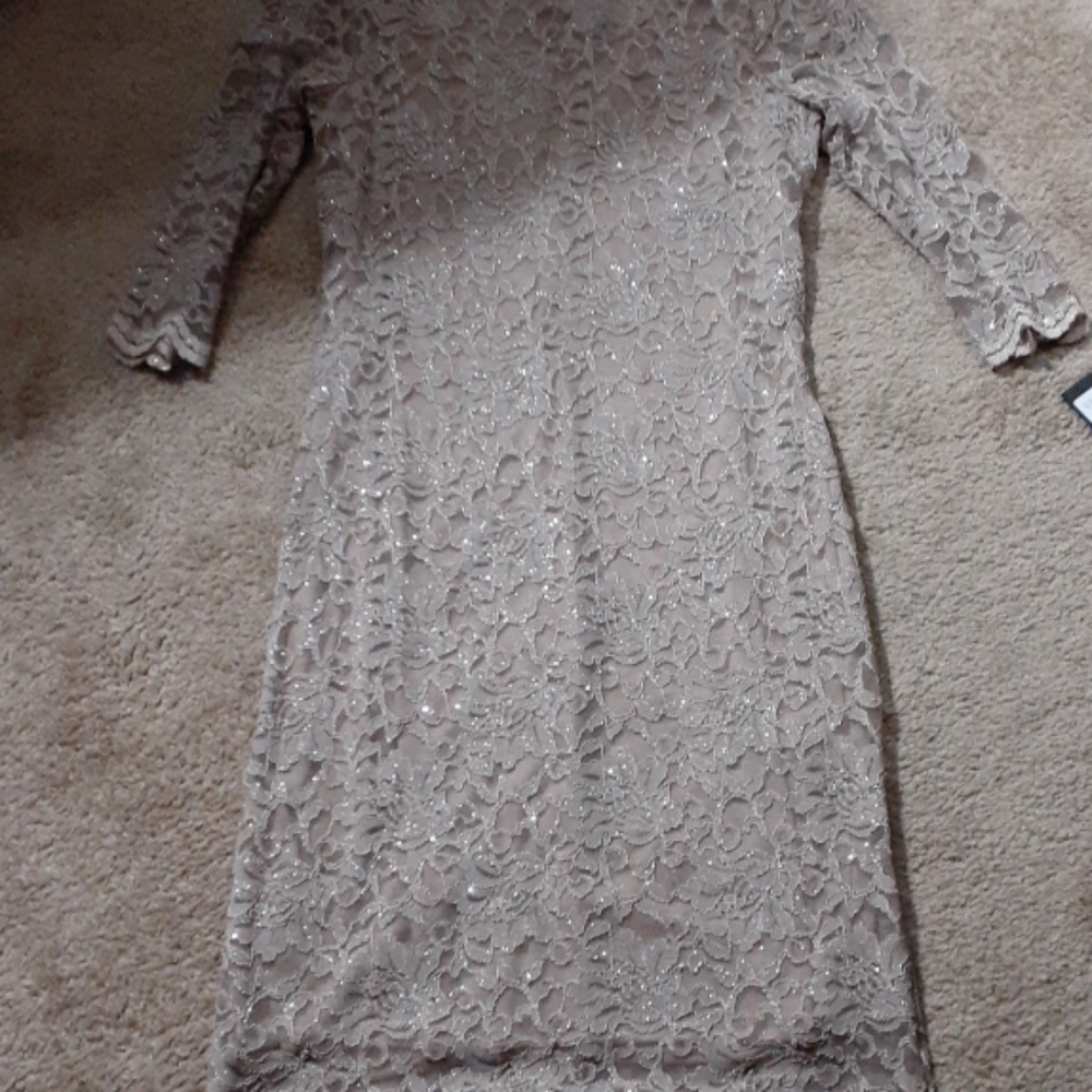 Brand New Taupe sheer Dress